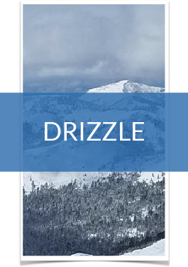 Drizzle Donors