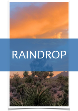 Raindrop Donors