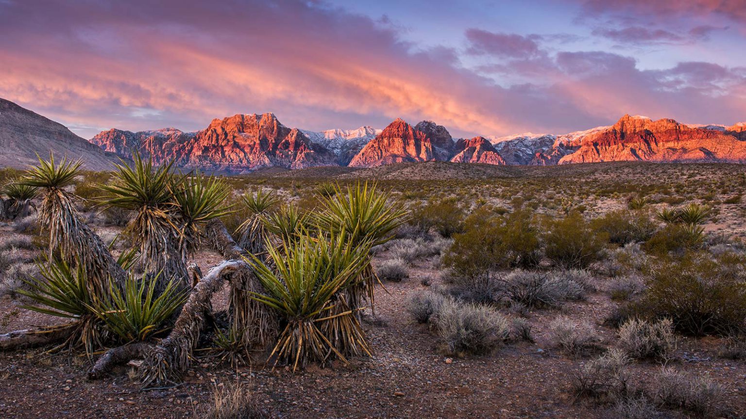 help-us-make-it-rain-in-red-rock-save-red-rock-canyon