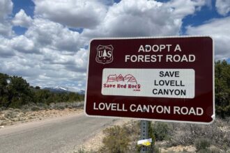 Lovell Canyon cleanup 2023