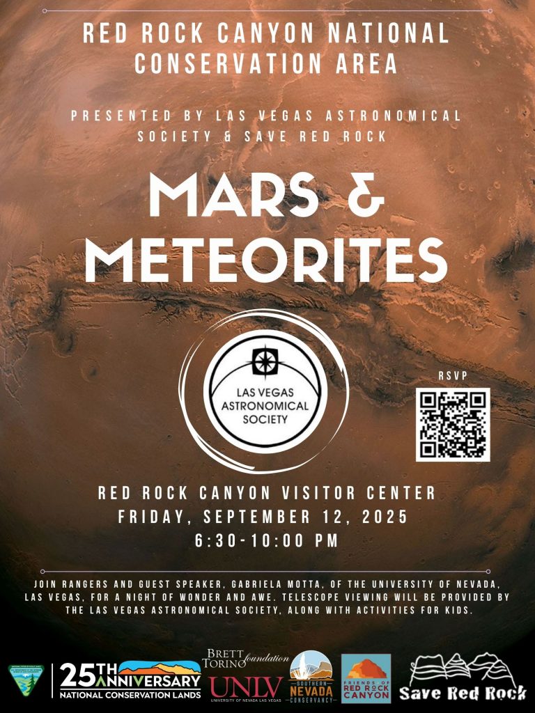 Mars & Meteorites Flyer BLM