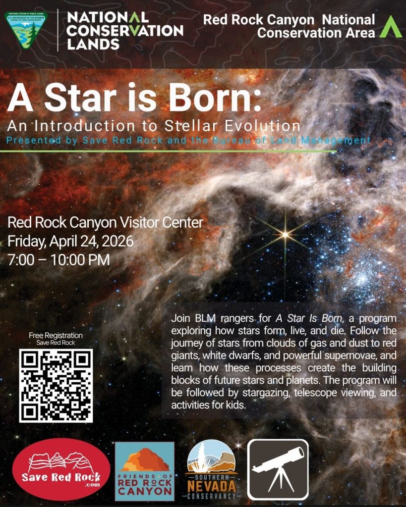A Star is Born Star Party flyer