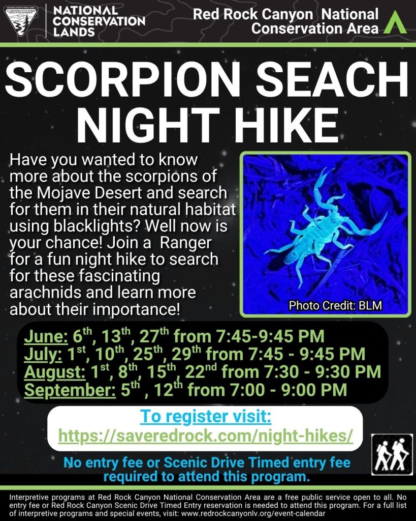 Scorpion Search Night Hikes Flyer